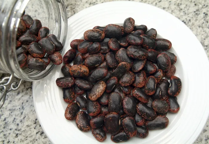 Impresión enmarcada : Frijoles secos. Impresión enmarcada : Frijoles secos.