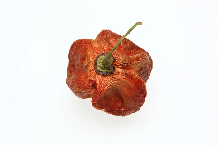 Impresión enmarcada : Fruta de chile seco.