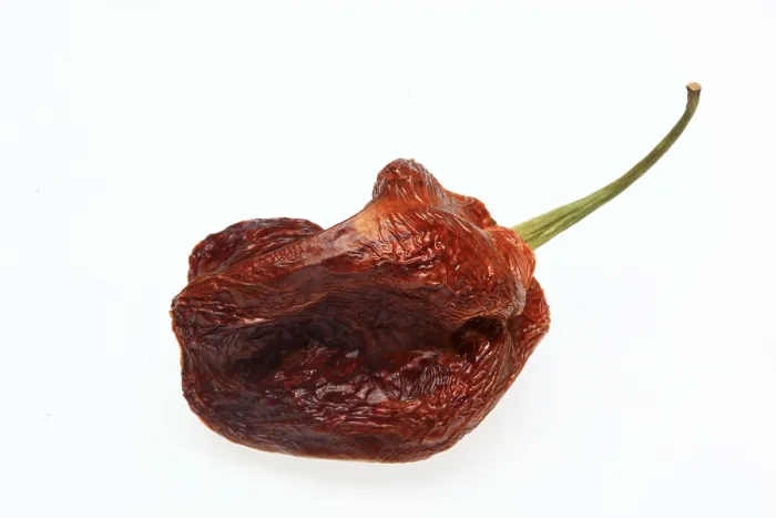 Impresión enmarcada : Frutos de chile seco