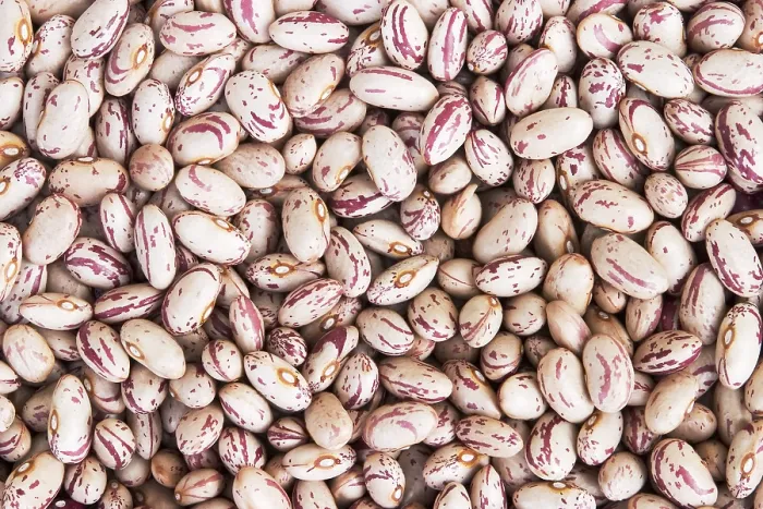 Impresión enmarcada : Frijoles secos con patrones. Impresión enmarcada : Frijoles secos con patrones.