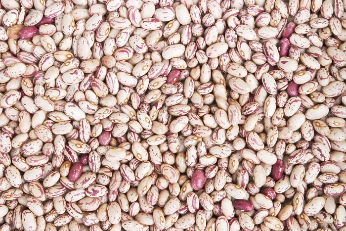 Impresión enmarcada : Frijoles secos con patrones.