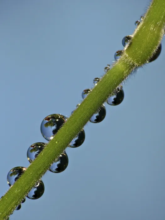 Impresión enmarcada : Drop