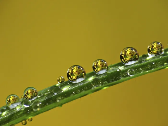 Impresión enmarcada : Drop Impresión enmarcada : Drop