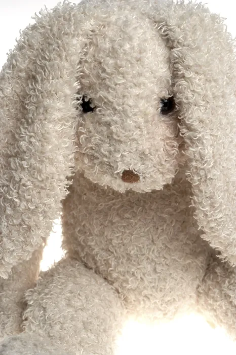 Impresión enmarcada : Conejo de Pascua Impresión enmarcada : Conejo de Pascua