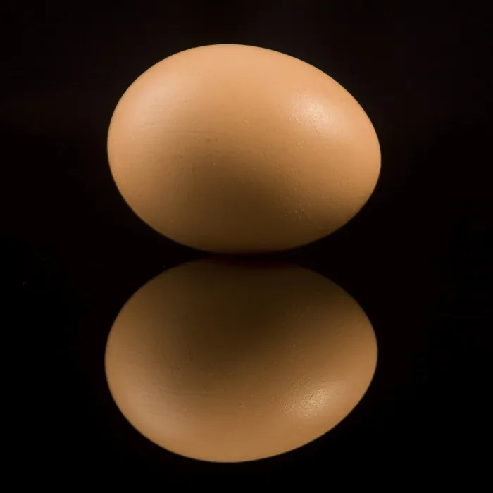 Impresión enmarcada : Egg