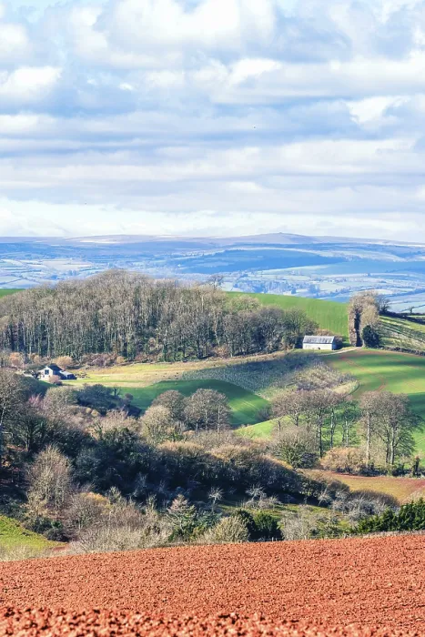 Impresión enmarcada : Campos y Tierras de Labor sobre Devon.