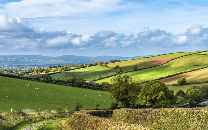 Impresión enmarcada : Campos y granjas desde un dron, Devon.