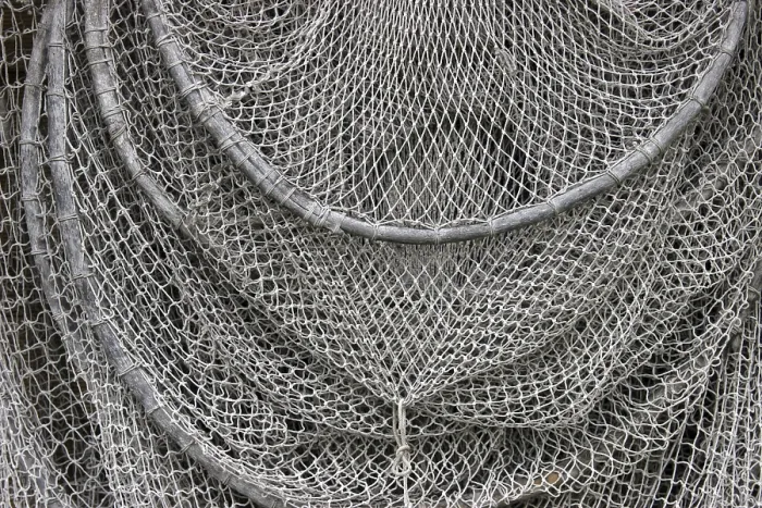 Impresión enmarcada : Cazuela de peces.