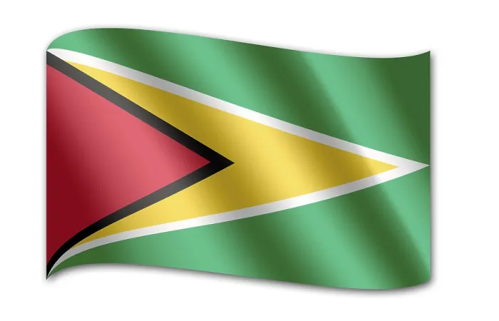 Impresión enmarcada : Bandera de Guyana Impresión enmarcada : Bandera de Guyana