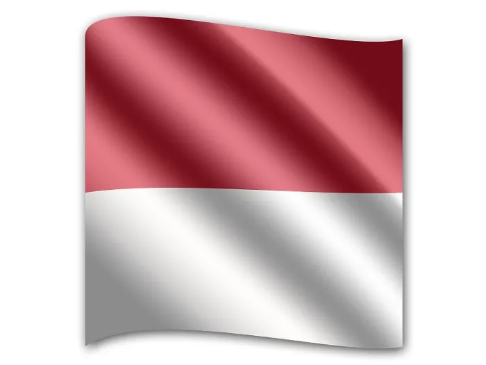 Impresión enmarcada : Bandera de Mónaco