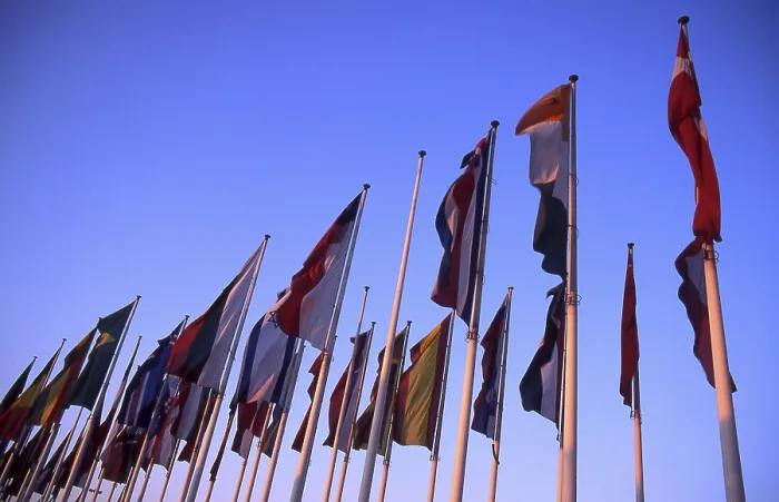 Impresión enmarcada : Flags