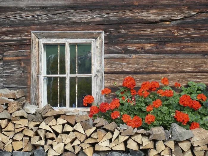 Impresión enmarcada : Ventana de flores.