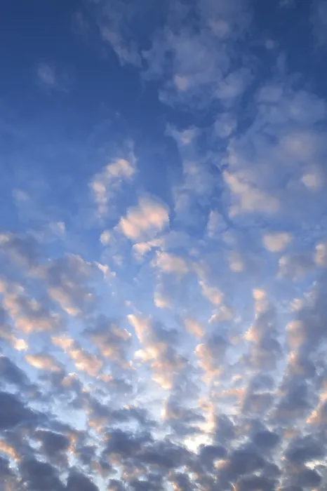 Impresión enmarcada : Nubes de algodón, nubes altocumuliformes Impresión enmarcada : Nubes de algodón, nubes altocumuliformes