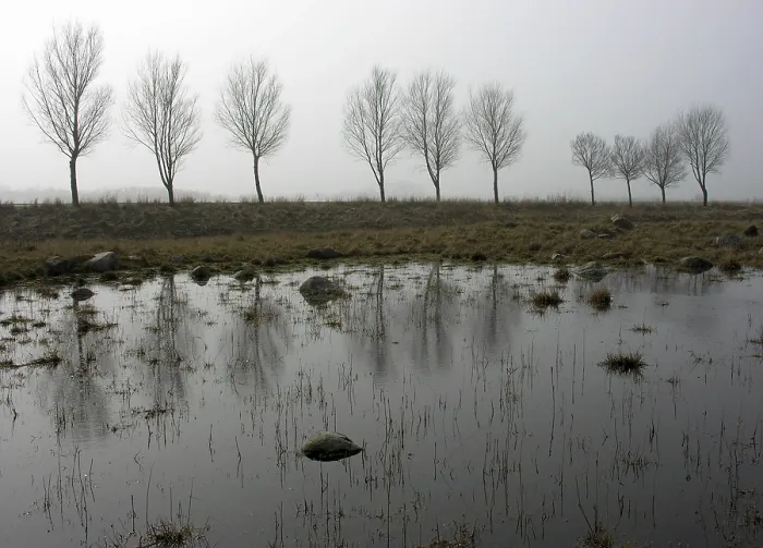 Impresión enmarcada : En la niebla. Impresión enmarcada : En la niebla.