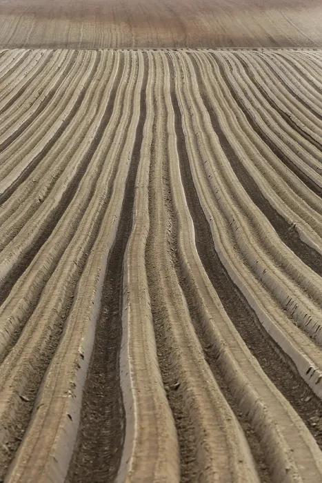 Impresión enmarcada : Furrows