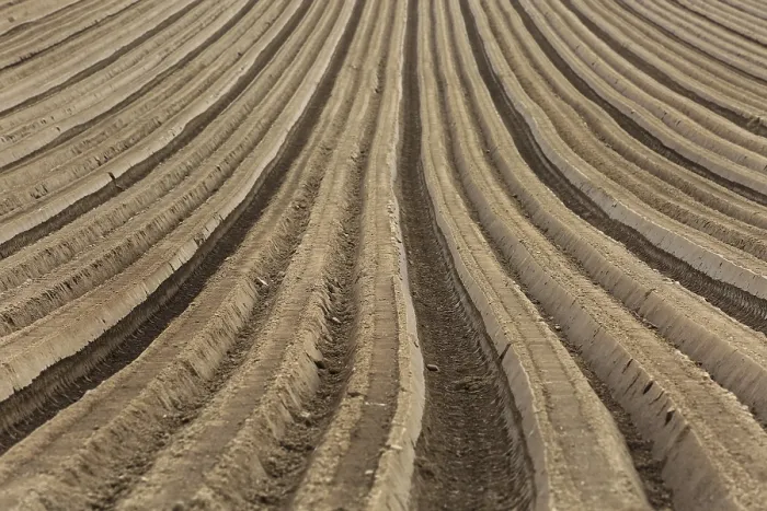 Impresión enmarcada : Furrows
