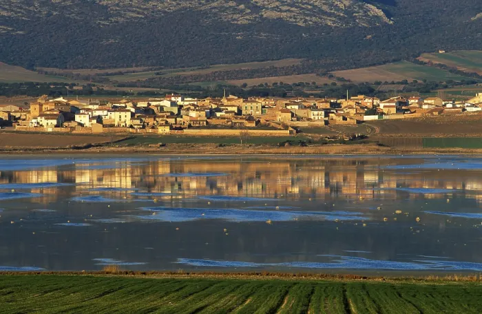 Impresión enmarcada : Gallocanta, Laguna de Gallocanta Impresión enmarcada : Gallocanta, Laguna de Gallocanta