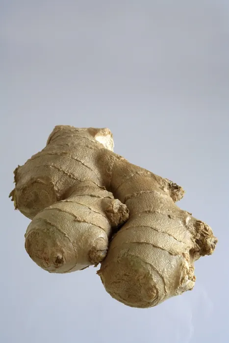 Impresión enmarcada : Ginger Impresión enmarcada : Ginger