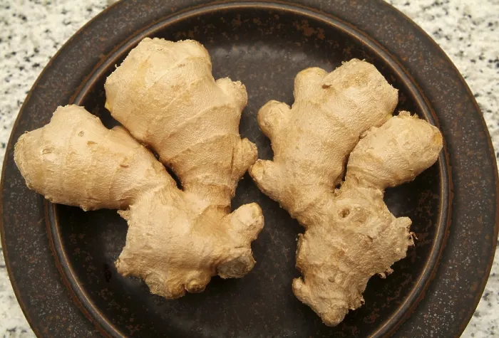 Impresión enmarcada : Ginger Impresión enmarcada : Ginger
