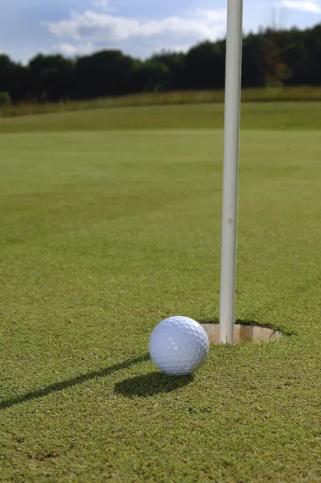 Impresión enmarcada : Golf Impresión enmarcada : Golf