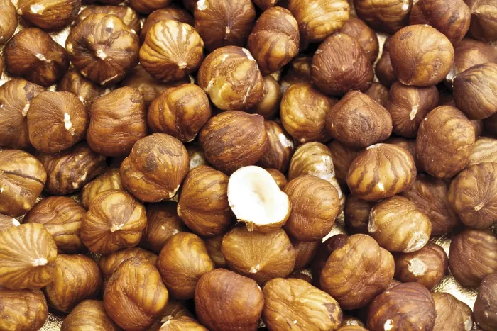 Impresión enmarcada : Haselnuts Impresión enmarcada : Haselnuts