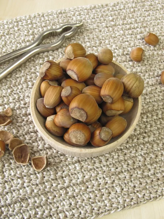 Impresión enmarcada : Hazelnuts