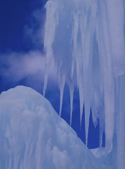 Impresión enmarcada : Icicles