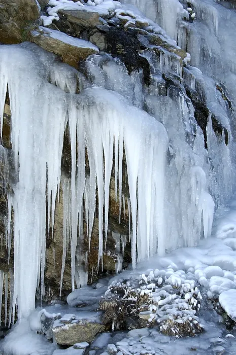 Impresión enmarcada : Icicles