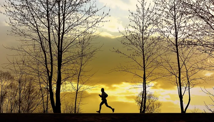 Impresión enmarcada : Jogging Impresión enmarcada : Jogging