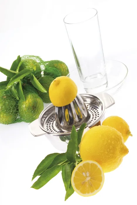Impresión enmarcada : Lemons Impresión enmarcada : Lemons