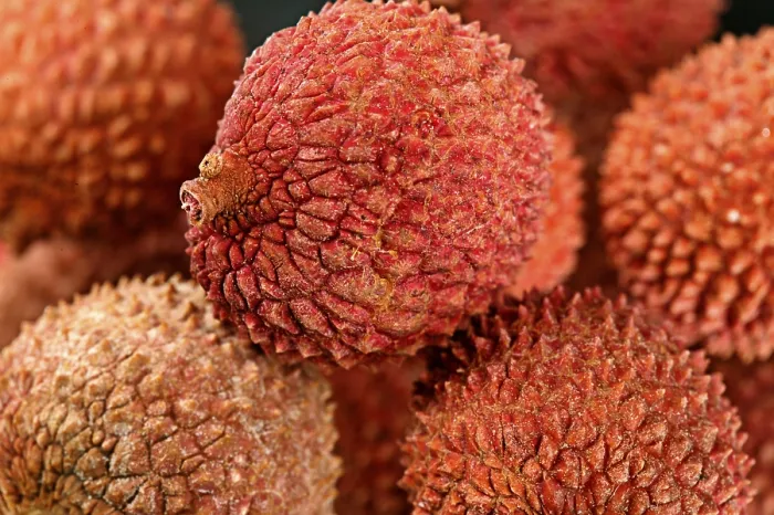 Impresión enmarcada : Lychee Impresión enmarcada : Lychee