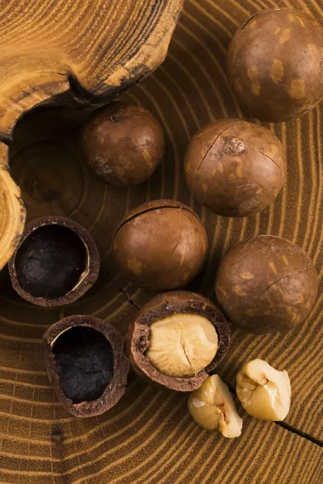 Impresión enmarcada : Nueces de macadamia. Impresión enmarcada : Nueces de macadamia.