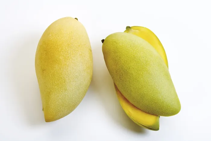 Impresión enmarcada : Mangoes Impresión enmarcada : Mangoes