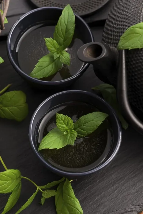 Impresión enmarcada : Té de menta. Impresión enmarcada : Té de menta.
