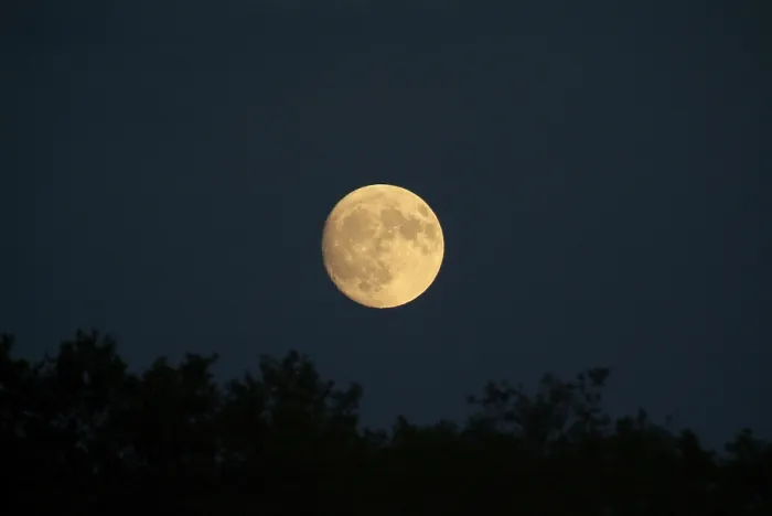 Impresión enmarcada : Moon Impresión enmarcada : Moon