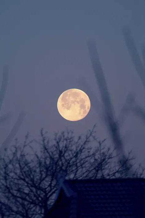 Impresión enmarcada : Luna llena Impresión enmarcada : Luna llena