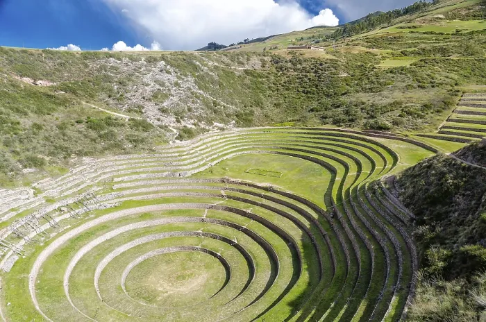 Impresión enmarcada : Pez moray en Perú.