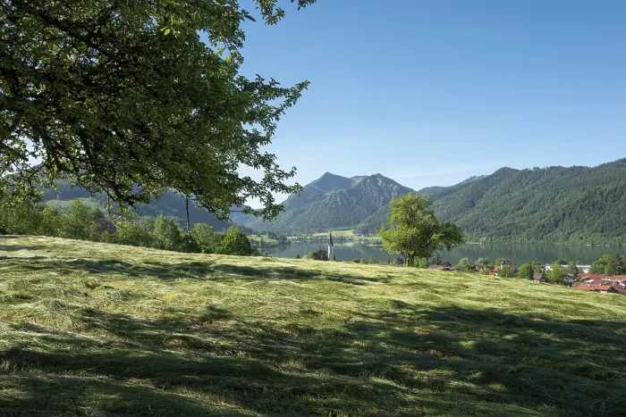 Impresión enmarcada : Pradera segada, RisseckstraBe.