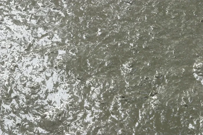 Impresión enmarcada : Mud