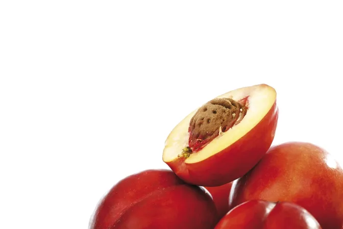 Impresión enmarcada : Nectarines Impresión enmarcada : Nectarines