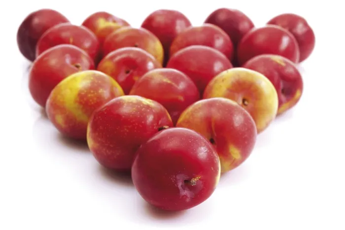 Impresión enmarcada : Nectarines Impresión enmarcada : Nectarines