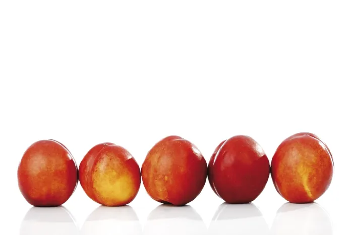 Impresión enmarcada : Nectarines Impresión enmarcada : Nectarines