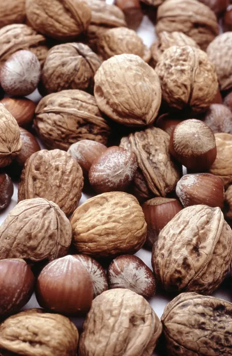Impresión enmarcada : Nuts Impresión enmarcada : Nuts