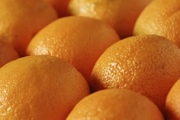 Impresión enmarcada : Oranges