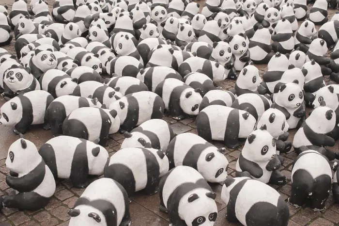 Impresión enmarcada : Oso panda Impresión enmarcada : Oso panda