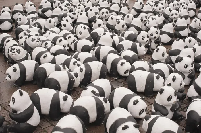 Impresión enmarcada : Oso panda Impresión enmarcada : Oso panda