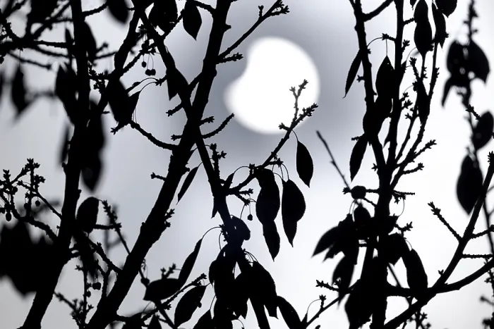 Impresión enmarcada : Eclipse parcial de sol el 25.10.