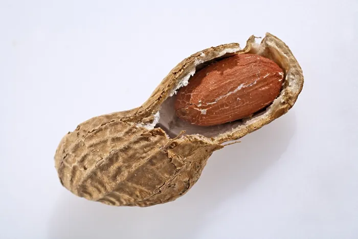 Impresión enmarcada : Peanut Impresión enmarcada : Peanut