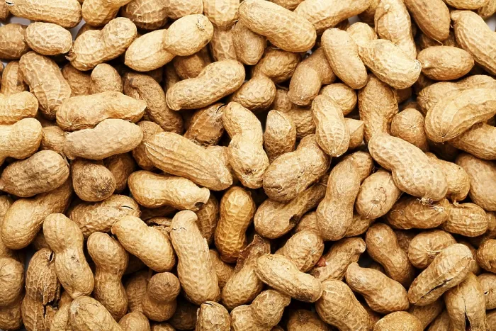 Impresión enmarcada : Peanuts Impresión enmarcada : Peanuts