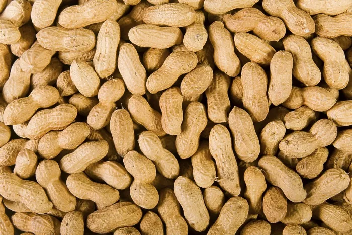 Impresión enmarcada : Peanuts